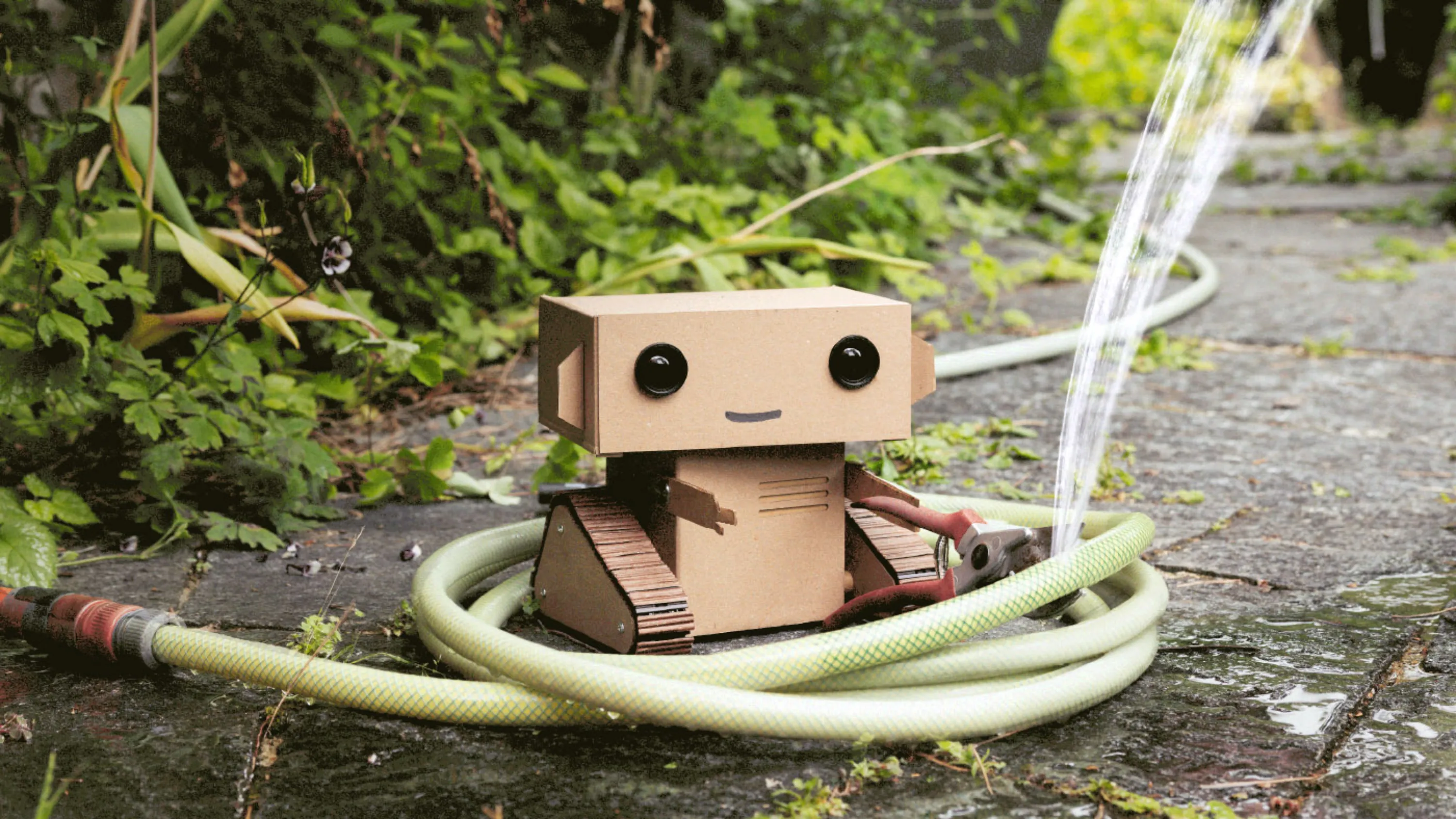 Rapport de gestion 2024