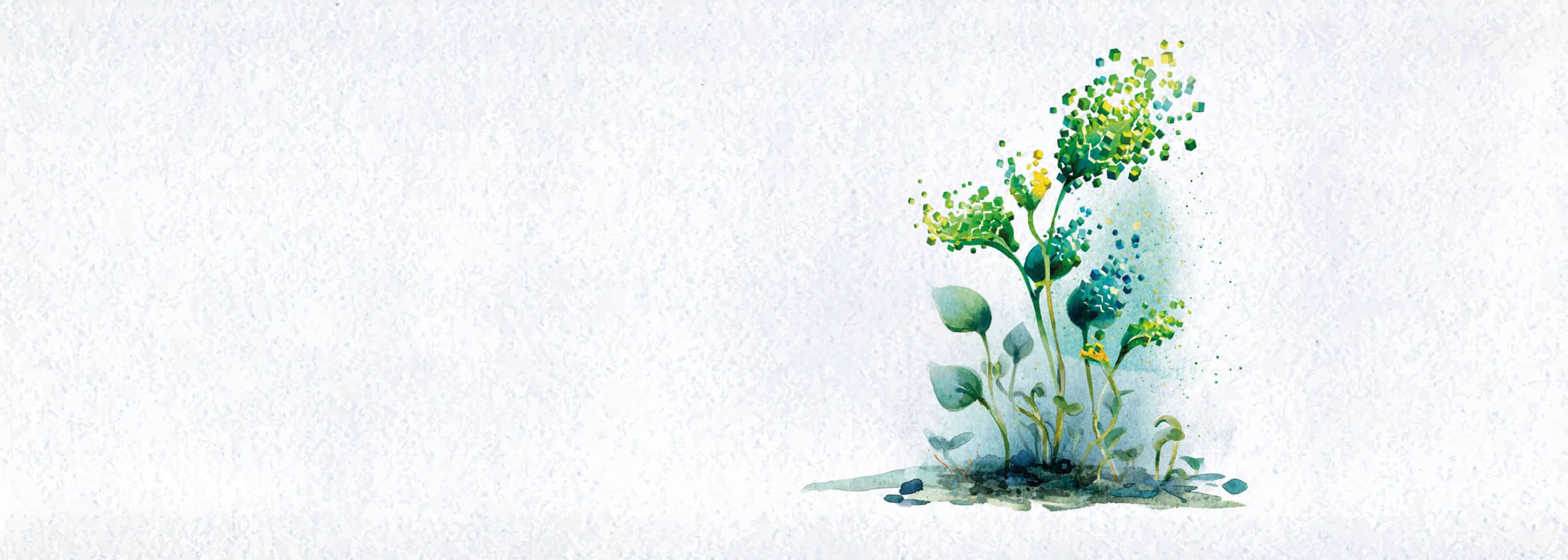 Titelbild_Slider_2800x1000px