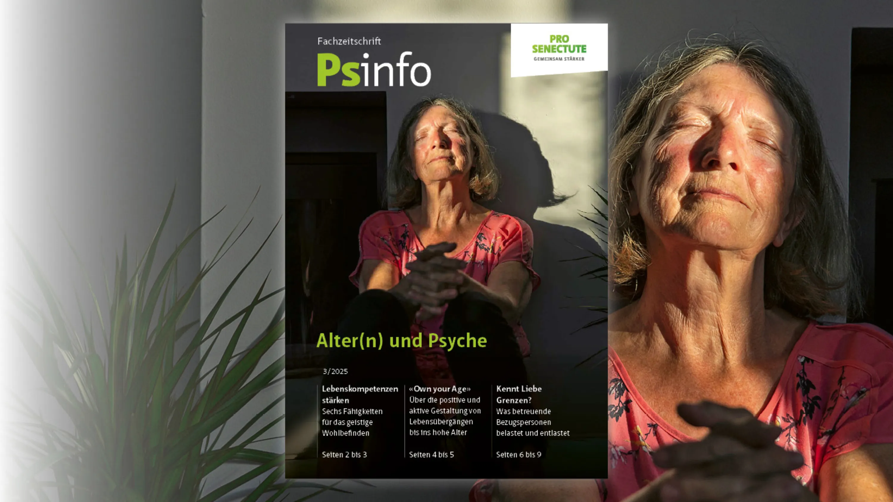 Titelblatt Psinfo: Alter(n) und Psyche 